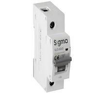 SLD6000 6kA 1P C100 OTOMATİK SİGORTA 1