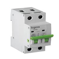 2P 100A YÜK AYIRICI ANAHTAR 1