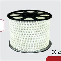 4040 HORTUM LED 1