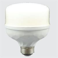 20 WATT  TORCH  LED AMPUL 1