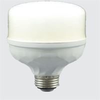 30 WATT TORCH LED AMPUL 1