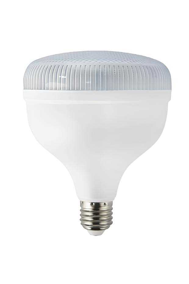 001-016-1020 CRYSTAL 20 W LED AMPUL 6400K 175-265V 1
