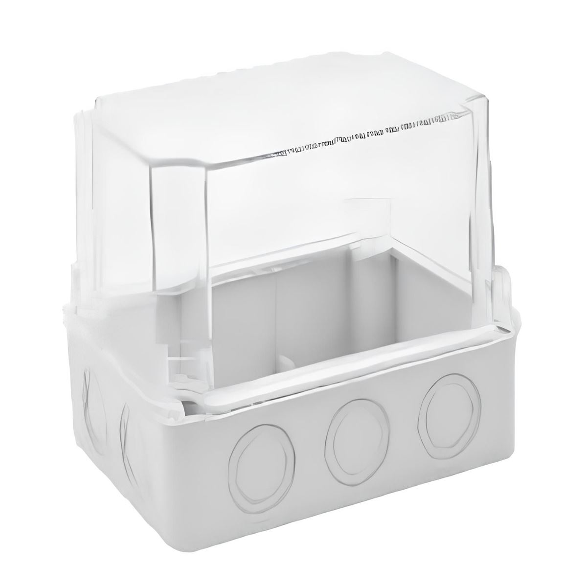 110X110X120 DERİN TERMOPLASTİK ŞEFFAF KAPAKLI BUAT 1