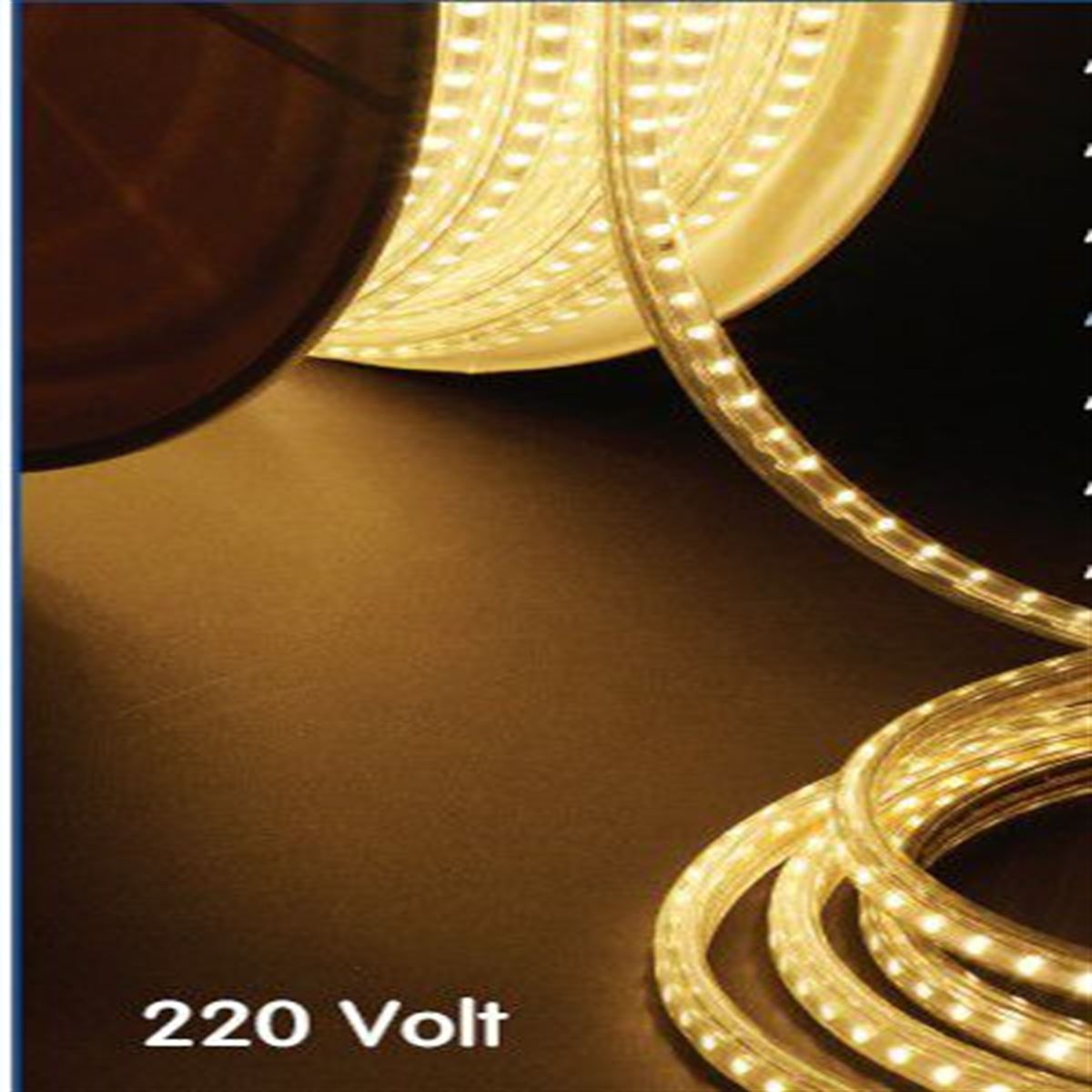 220 V ŞERİT LED MAVİ 1