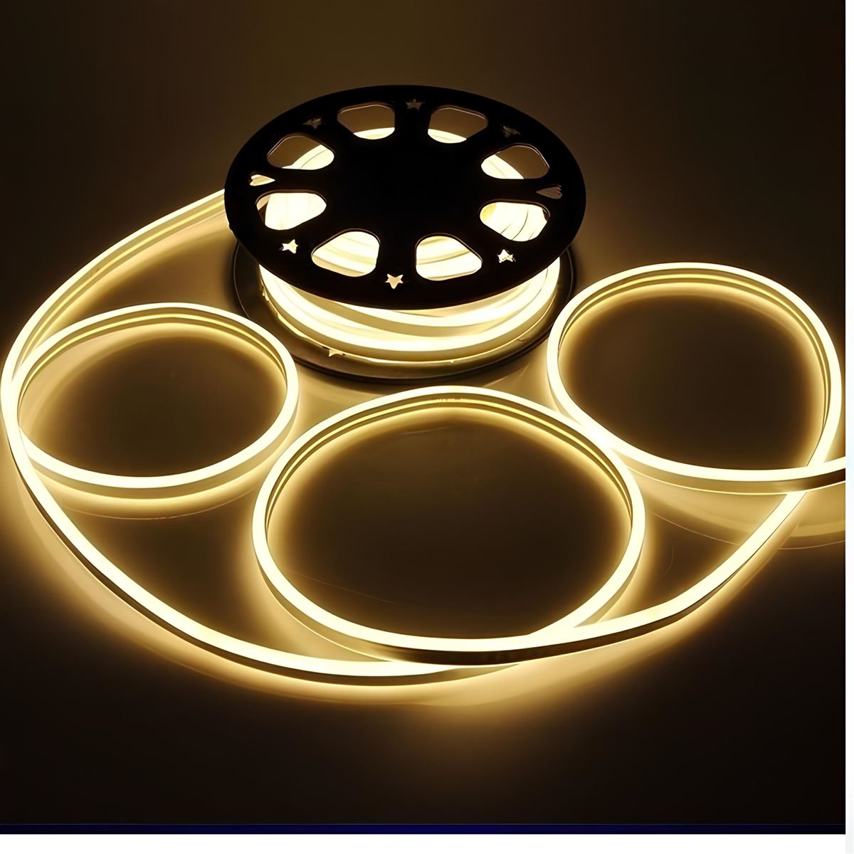 NEON LED HORTUM (GÜNIŞIĞI) 1