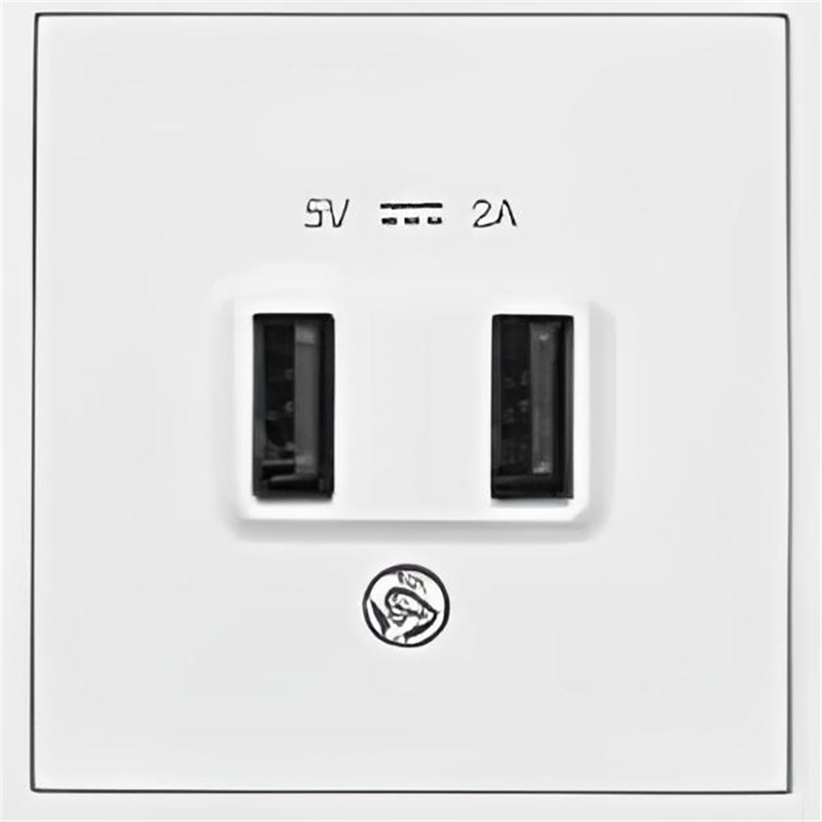USB Sarj Prizi 5V 2,1A Ciftli 1