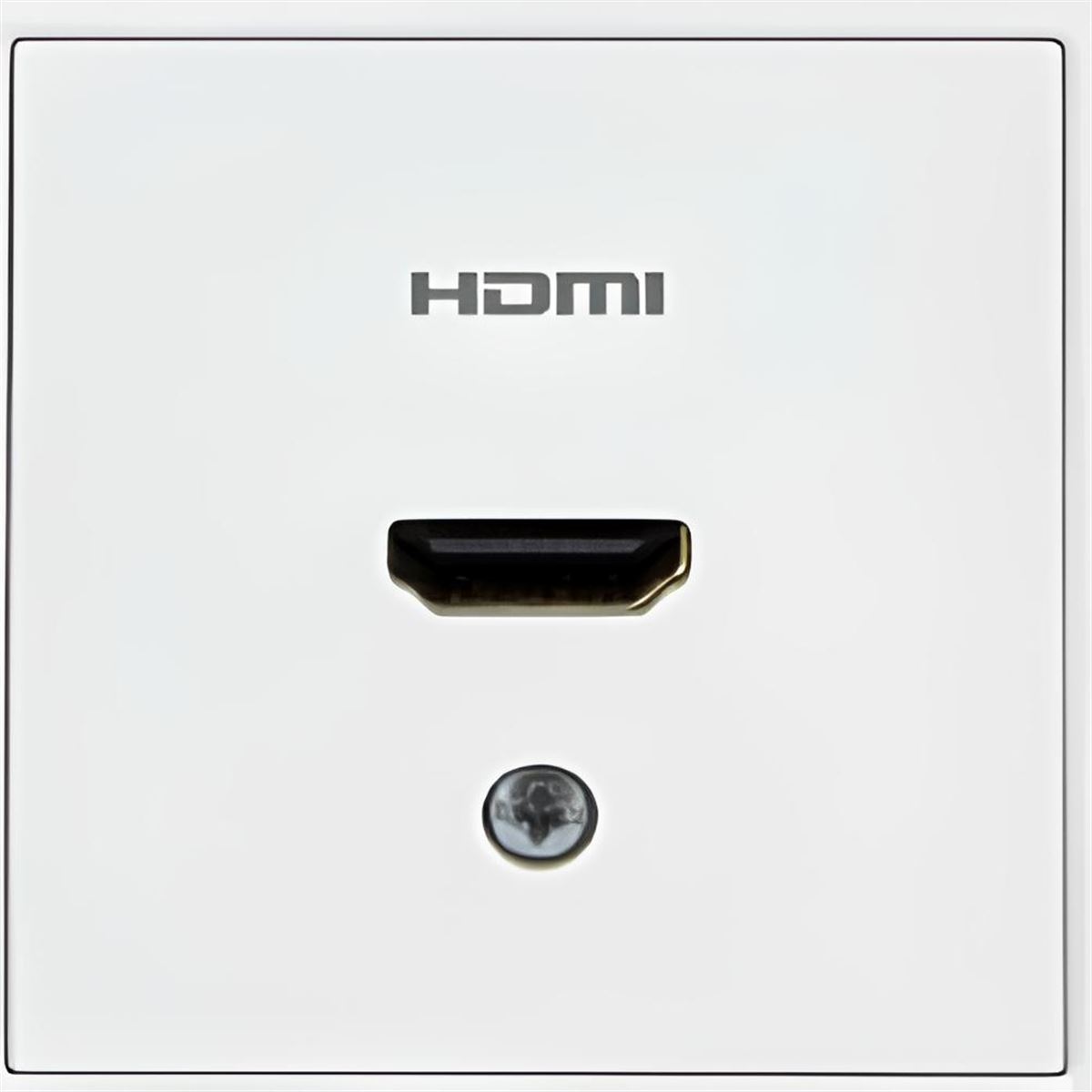 HDMI Prizi 1