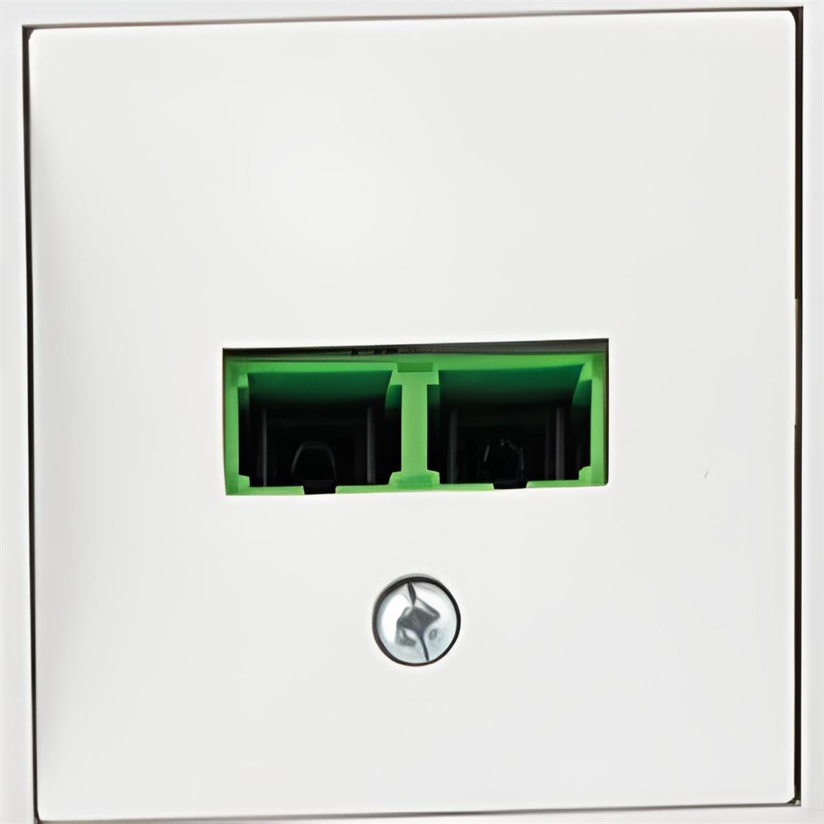 2'li Fiber Optik Sonlanmali Data Prizi 1