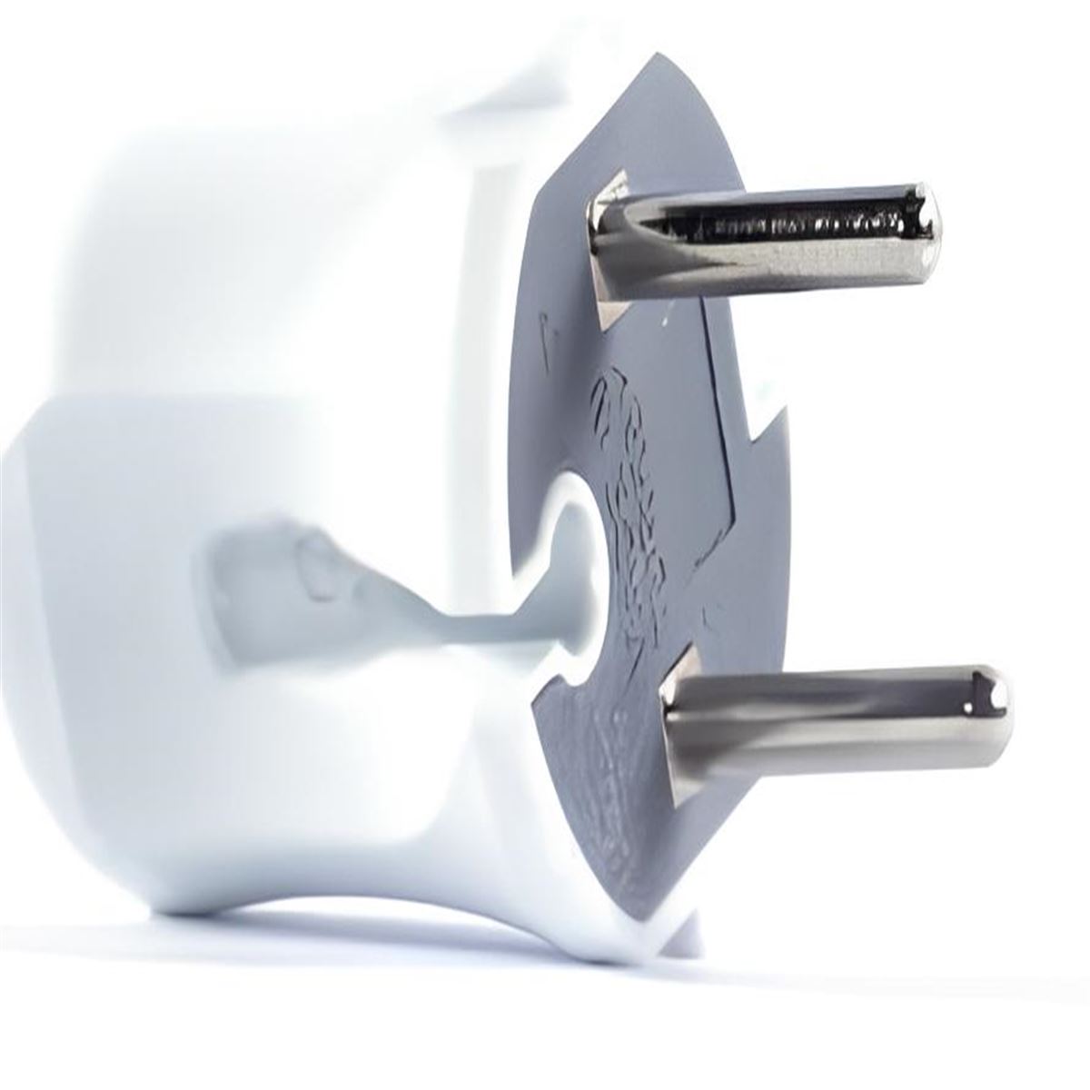 TOPRAKLI KULPLU FİŞ 1