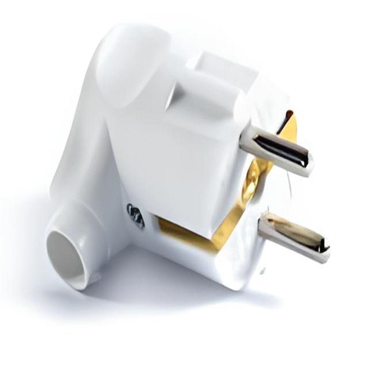 TOPRAKLI ERKEK FİŞ 1