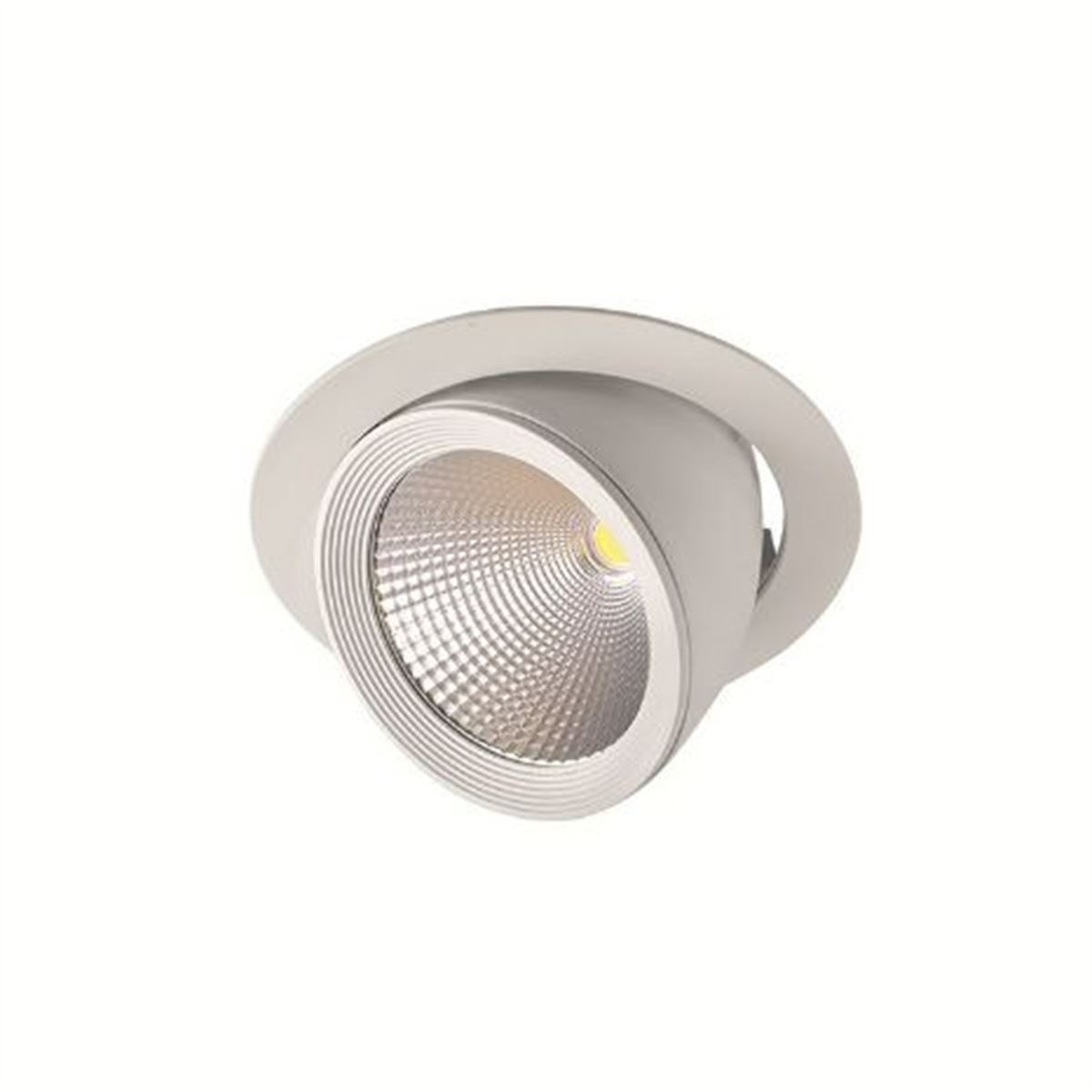 GY 3007 SİYAH 36W 60° 6500K SO COB LED S.A. ARM 1