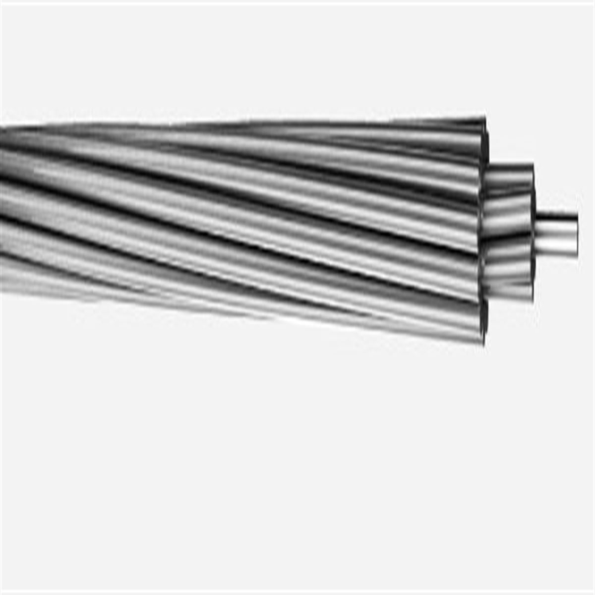 PİGEON ALEMİNYUM HAVAİ HAT İLETKENİ(ACSR) 1