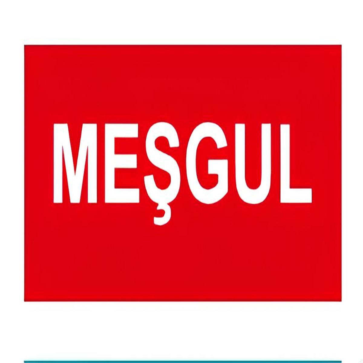 NETELSAN E9129 MEŞGUL (ESCAPE,TEK YUZ,TİJLİ) 1