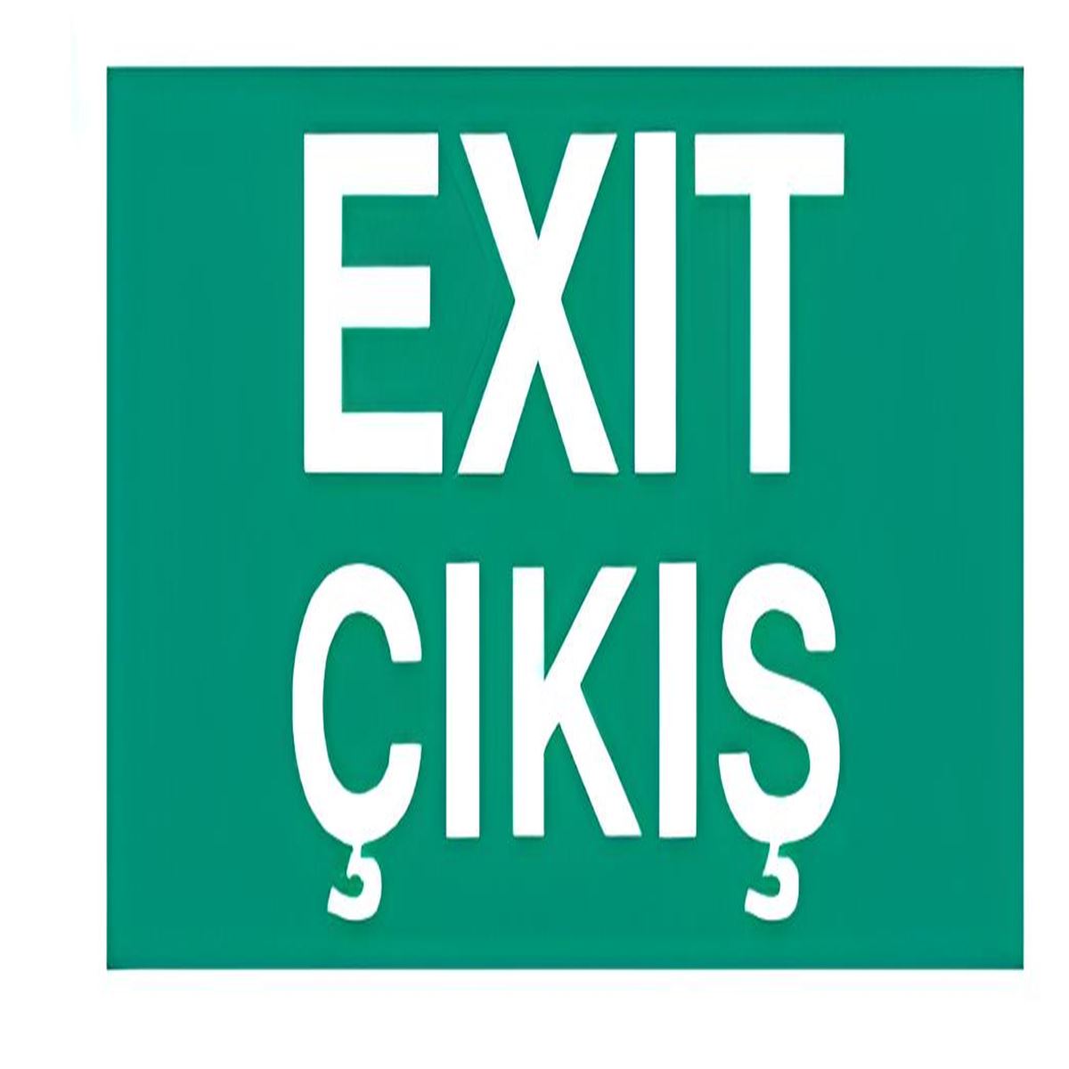 NETELSAN E9107 EXIT ÇIKIŞ (BLAZE,TİJLİ) 1