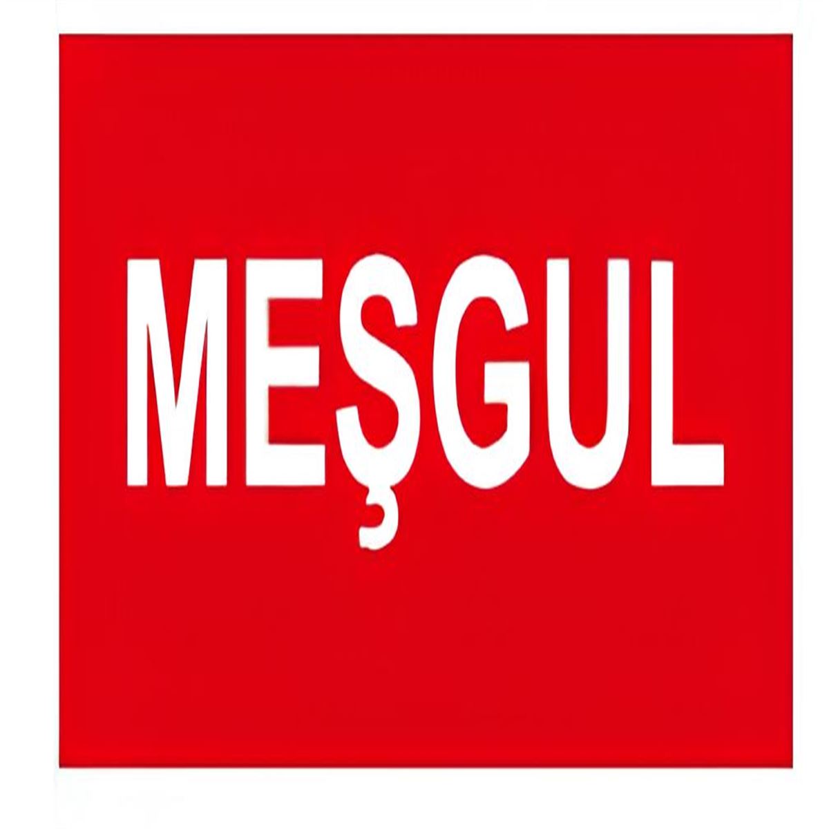 NETELSAN E9129 MEŞGUL (ESCAPE,CİFT YUZ,TİJLİ) 1