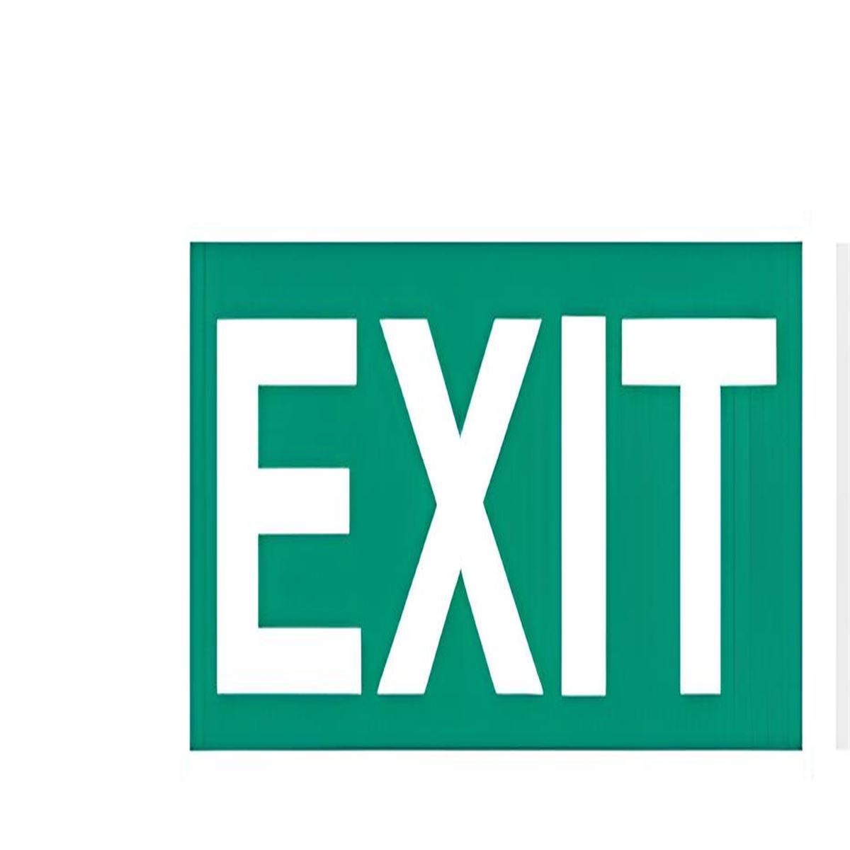 NETELSAN E9100 EXIT (ESCAPE,ÇİFT YUZ,TİJLİ) 1