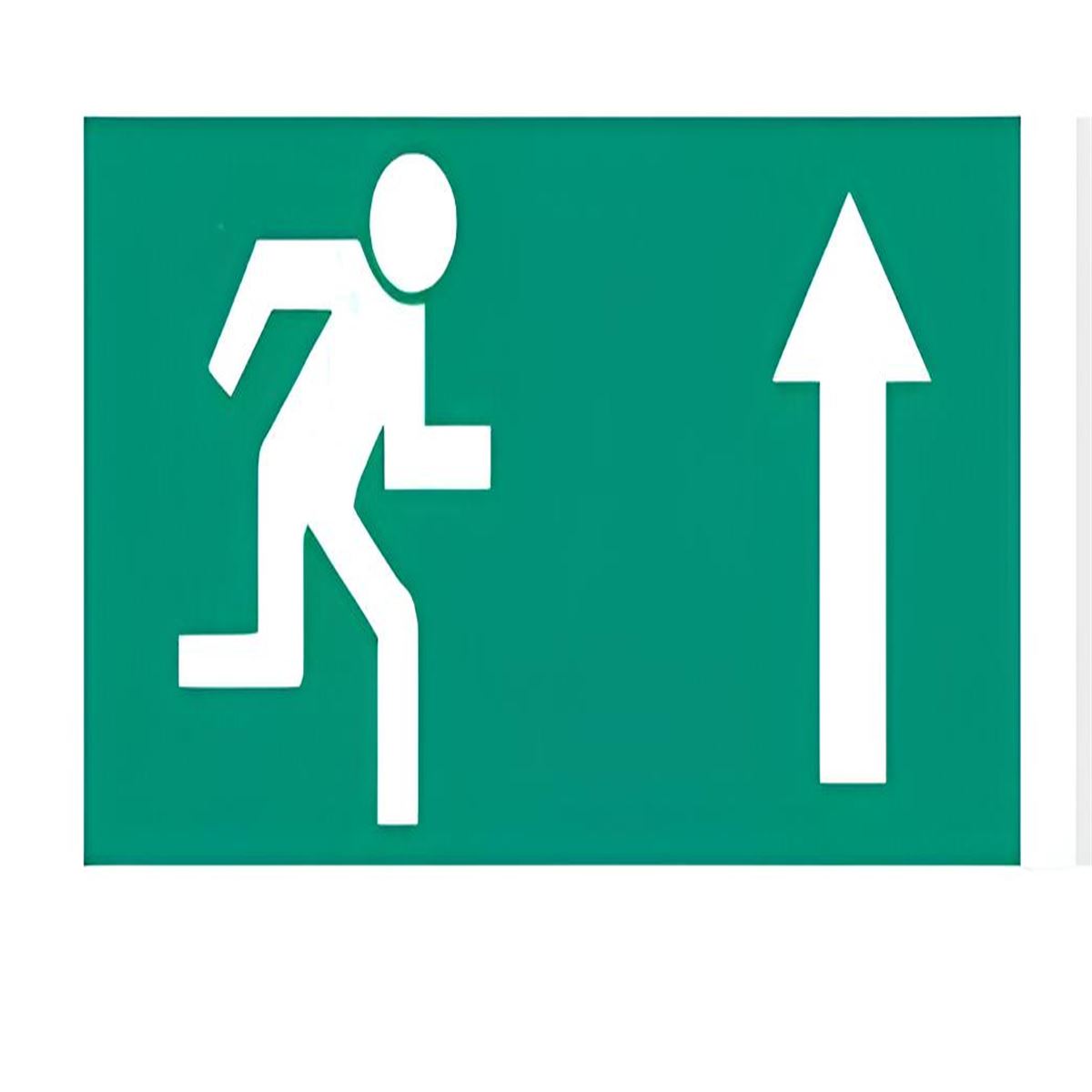 NETELSAN E9120 SAĞA YUKARIYA KOŞAN ADAM (BLAZE,ZİN 1