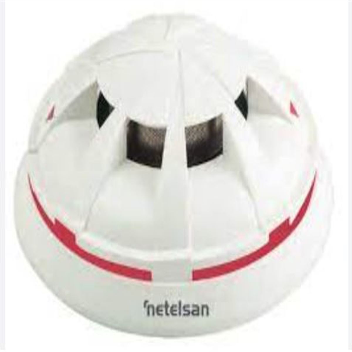 NETELSAN DAHİLİ İZOLATÖRLÜ ANALOG ADRESLİ KOMBİNE 1