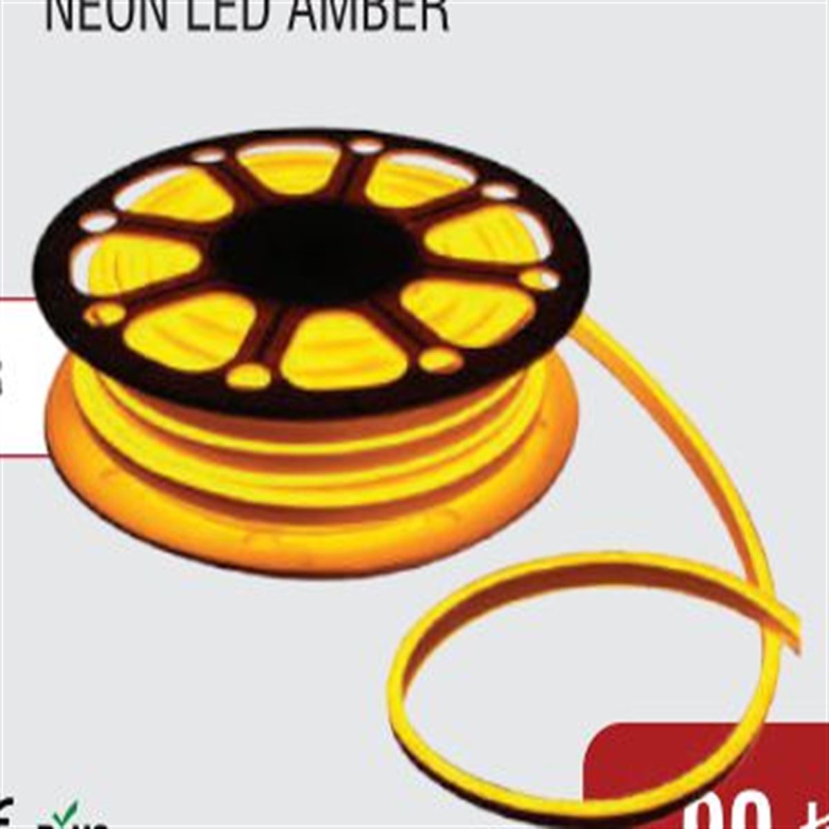 NEON LED 1
