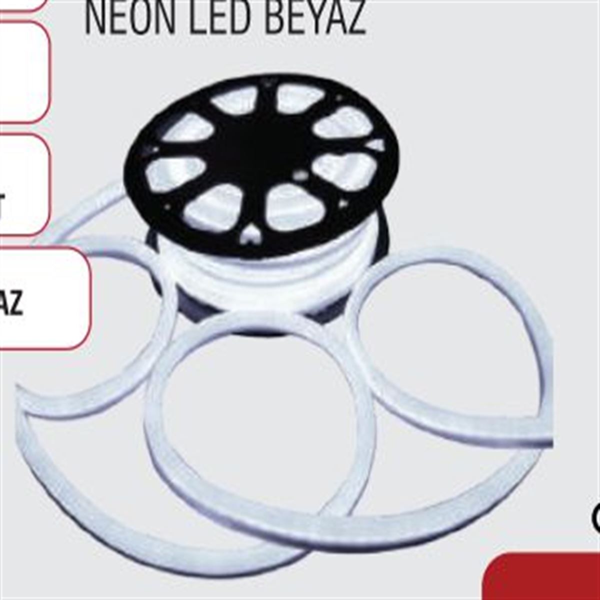 NEON LED 1