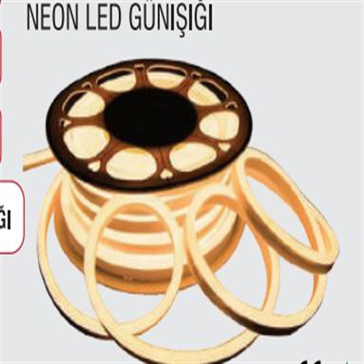 NEON LED 1